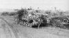 PanzerjÃ¤ger Tiger (P) Elefant Sd.Kfz. 184